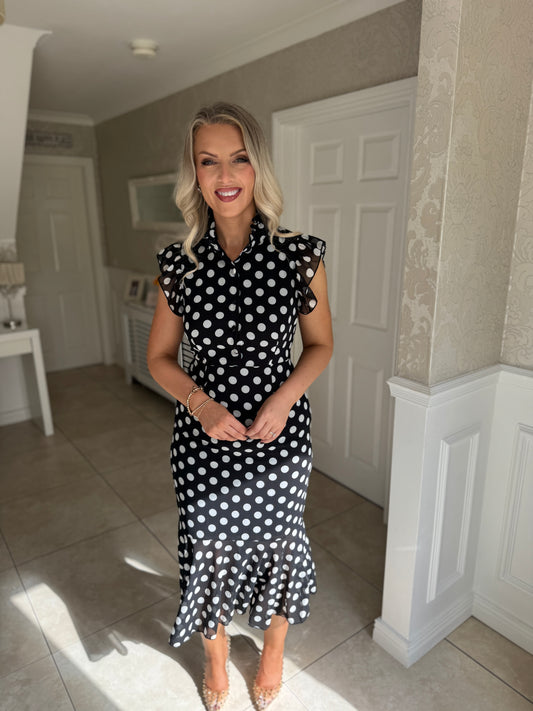 Hannah Polka Dot Dress